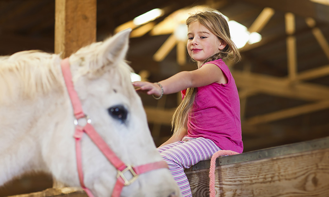 Stable girl